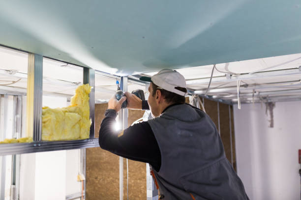 Best Geographic-Specific Insulation Services in Frankfort Square, IL