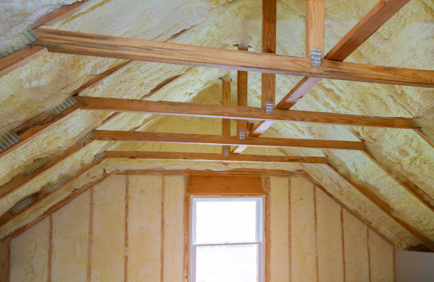Best Specialized Insulation Services in Frankfort Square, IL